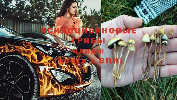 героин Белокуриха