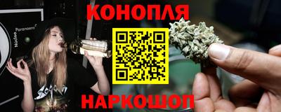 прущие крисы Будённовск