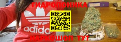 прущие крисы Будённовск