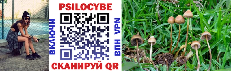 Псилоцибиновые грибы прущие грибы  Вязьма 