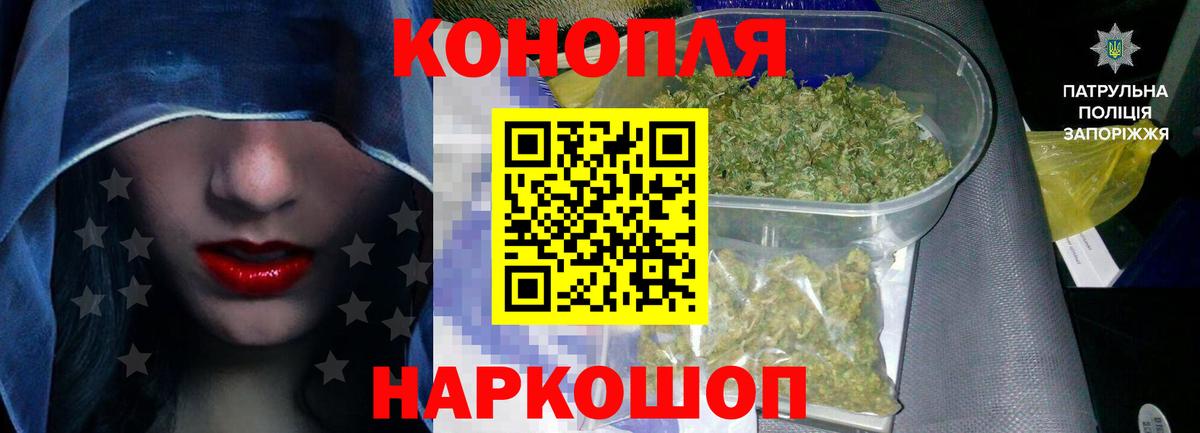 Шишки марихуана конопля Вязьма